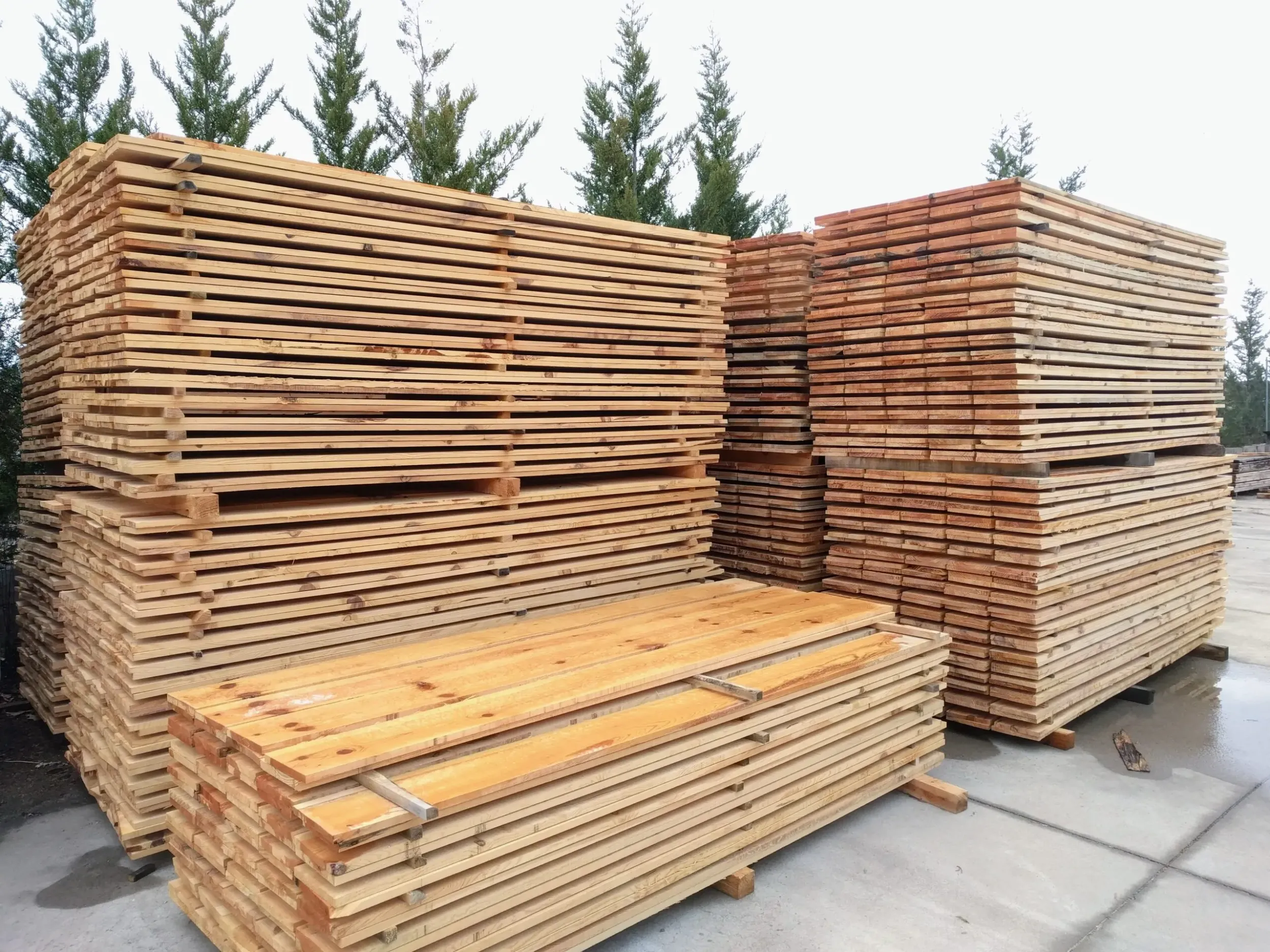 Lote de Tablas de Madera Aserrada